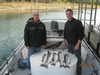 (10/18/2014) - Nice Striped Bass